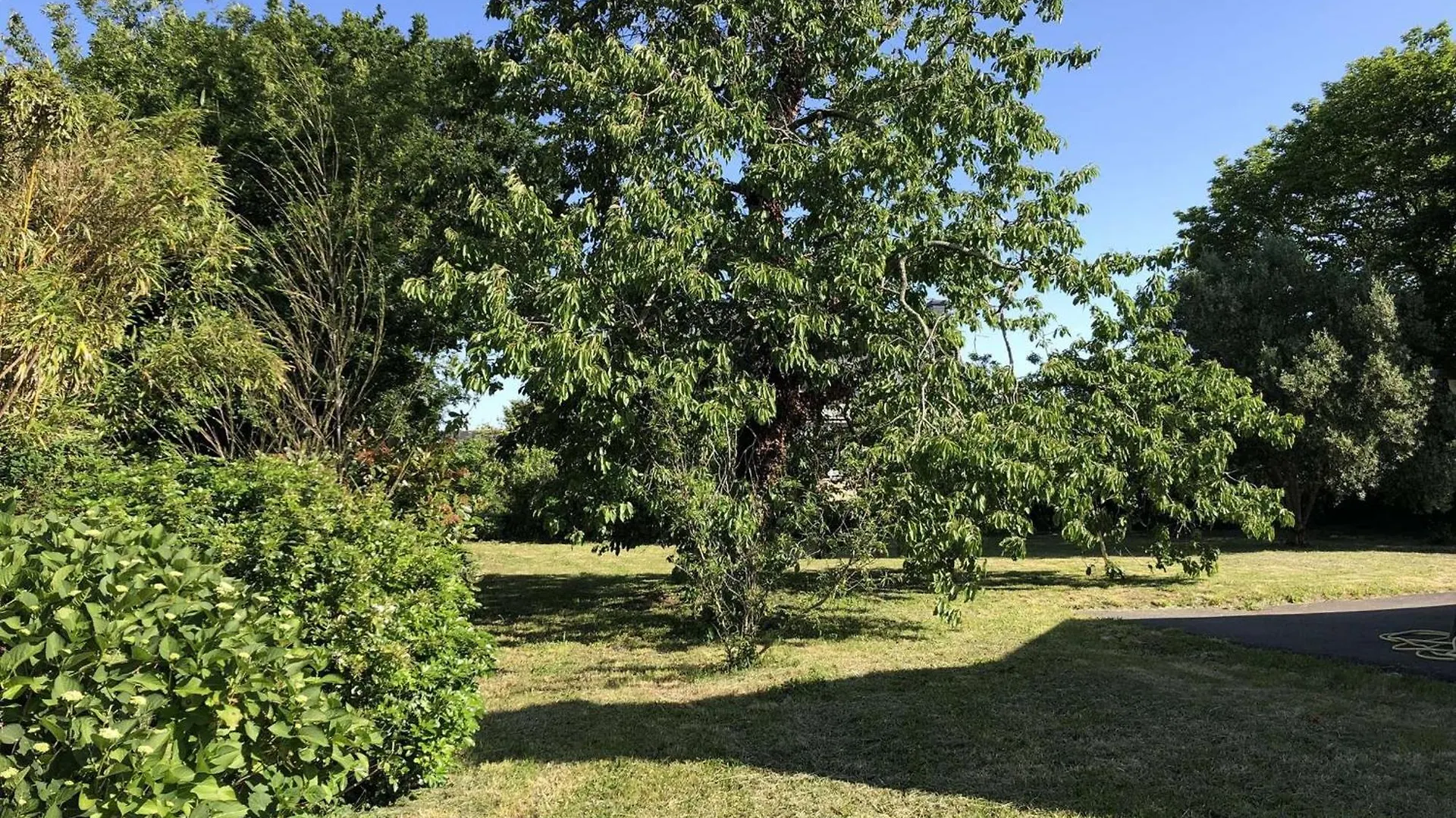 Maison Coquette Proche Plage A La Foret-Fouesnant - Fr-1-481-159